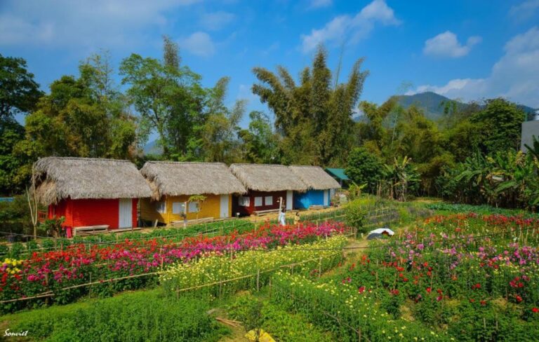 Luong Son Homestay Cao Bang